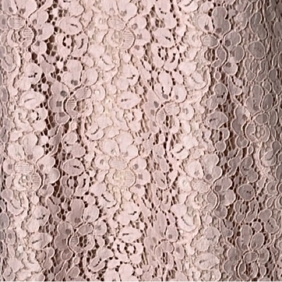 NWT ZARA PALE PINK EYELET LACE CAP SLEEVE SHIFT DRESS size XS - Picture 6 of 9